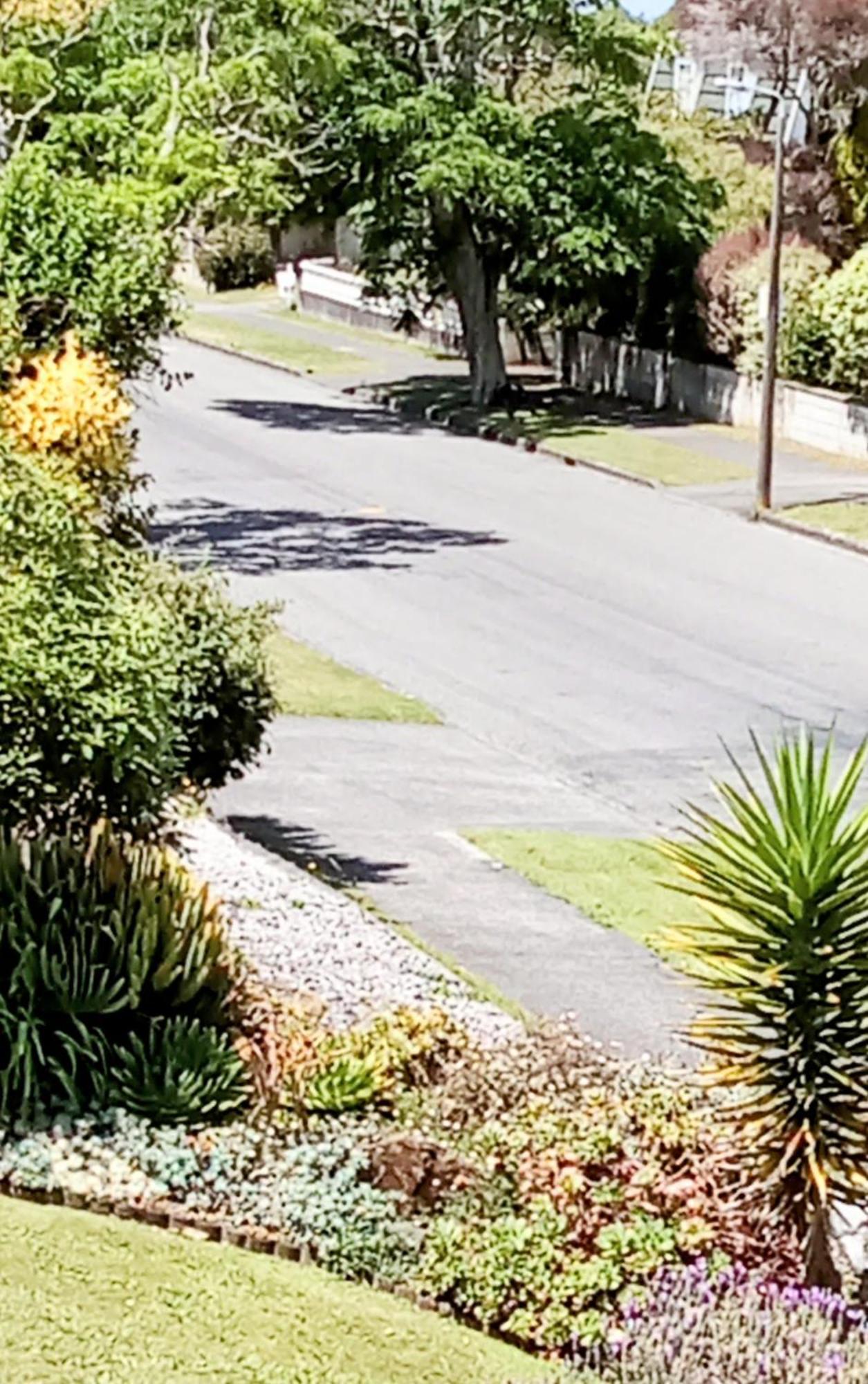 Park View 'Home Away From Home' Feilding Esterno foto